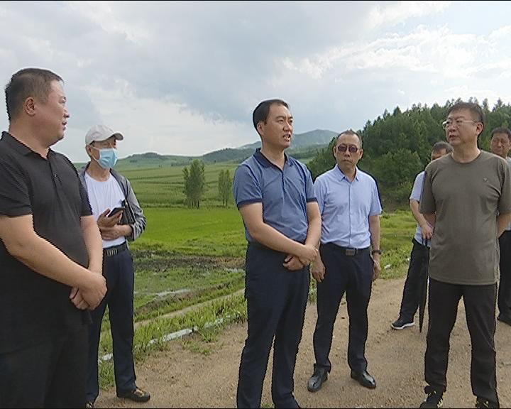 水源鎮未來繁榮藍圖，最新發展規劃揭秘