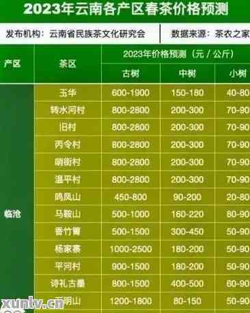 東和茶葉網最新價格表全面概覽