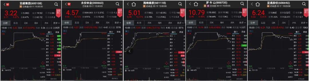 蘇墾農發股票最新消息全面解讀與分析