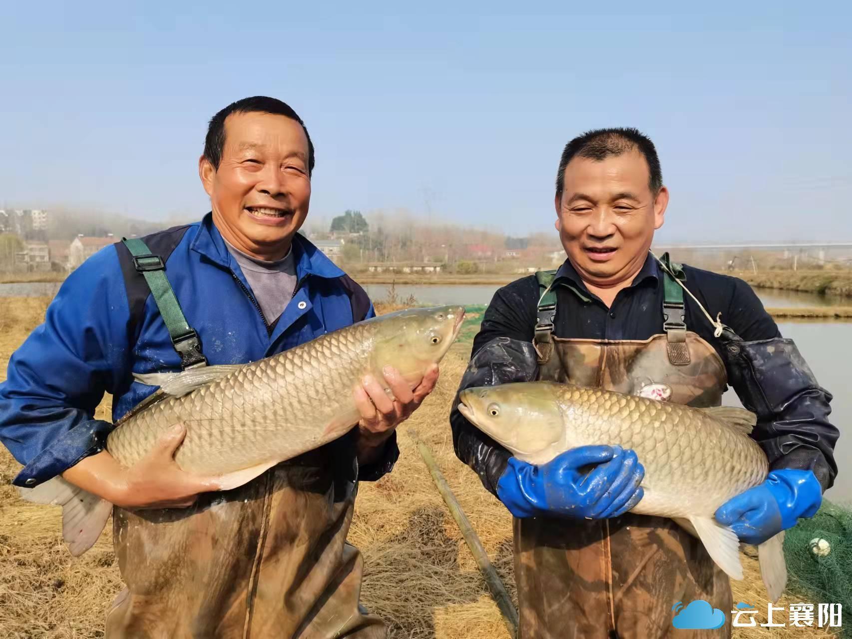 南漳縣未來城市宏偉藍圖規劃圖曝光，描繪全新城市面貌