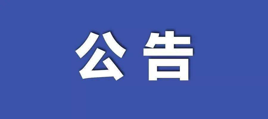 2024新澳門王中王正版,快速落實響應方案_AR84.28