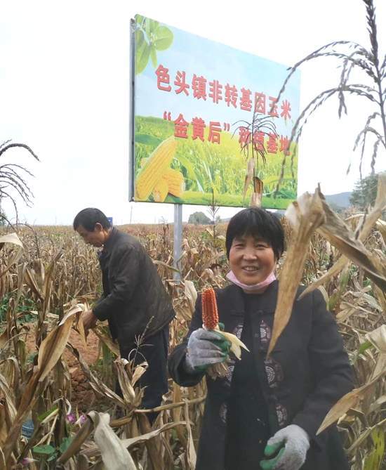 蘆家溝村委會最新領導概覽，一覽眾領導的風采！